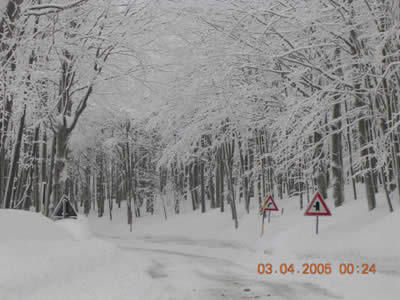Fasciono dell'inverno